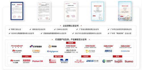 持续加强国产信创建设 思迈特软件与SelectDB完成兼容互认证，夯实基础软件服务