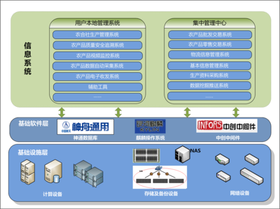 政府行业基础软件服务的现状与发展路径